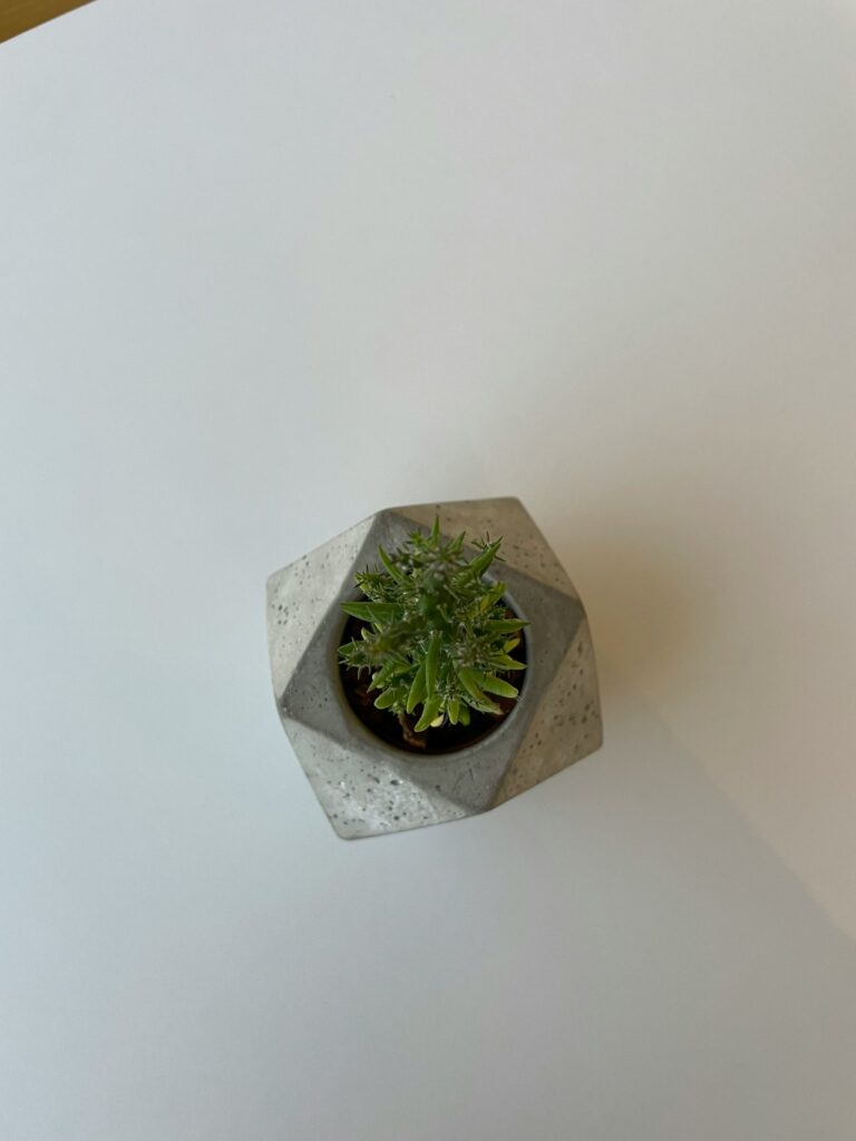 Dekorativer 3D-Druck Pflanzenständer